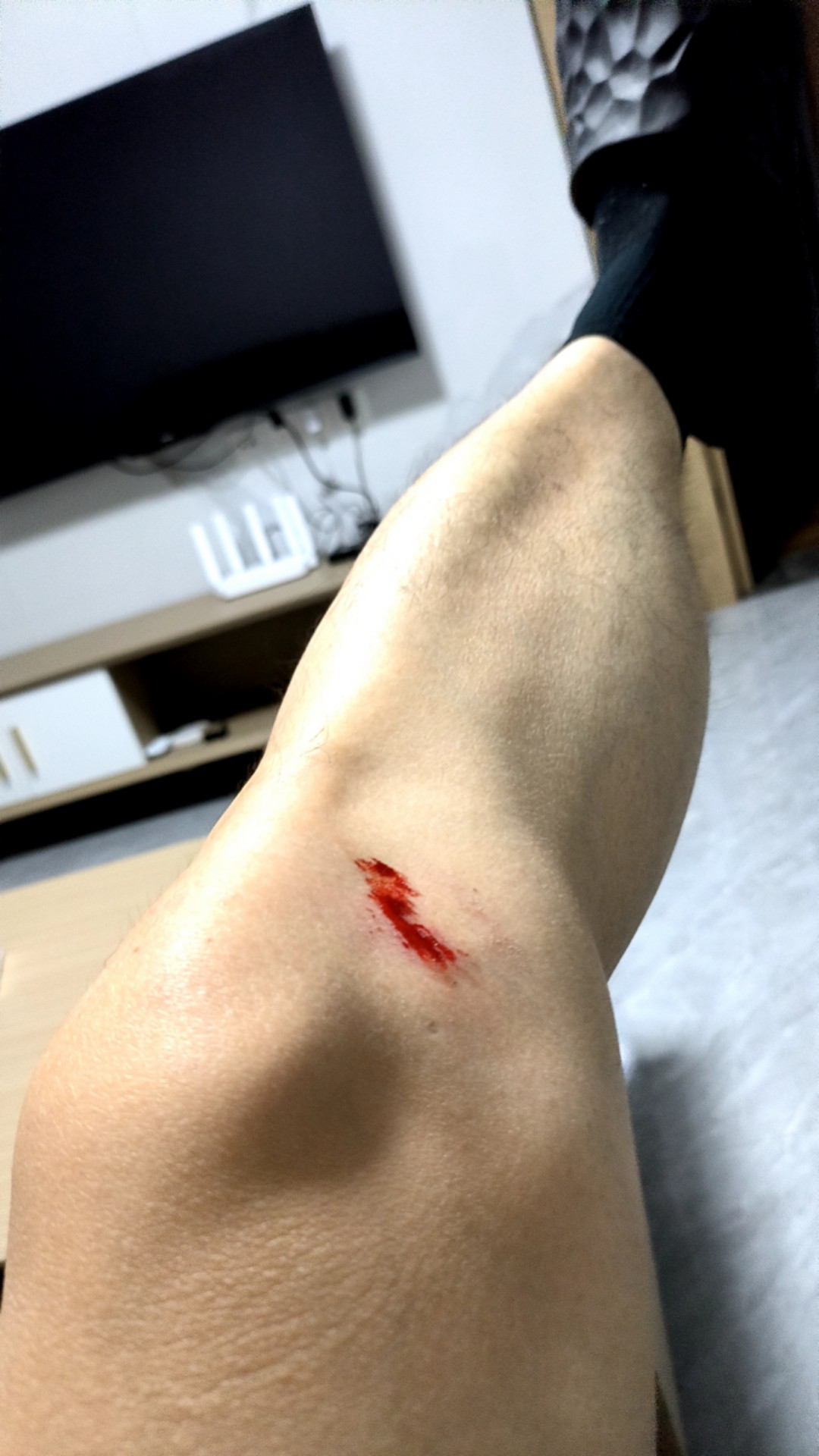 123809022.jpg 123809022.jpg